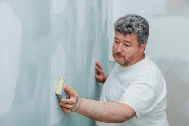 Best Mold Prevention Services  in Goleta, CA