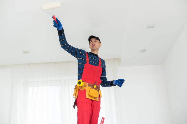 Best Attic Mold Removal  in Goleta, CA